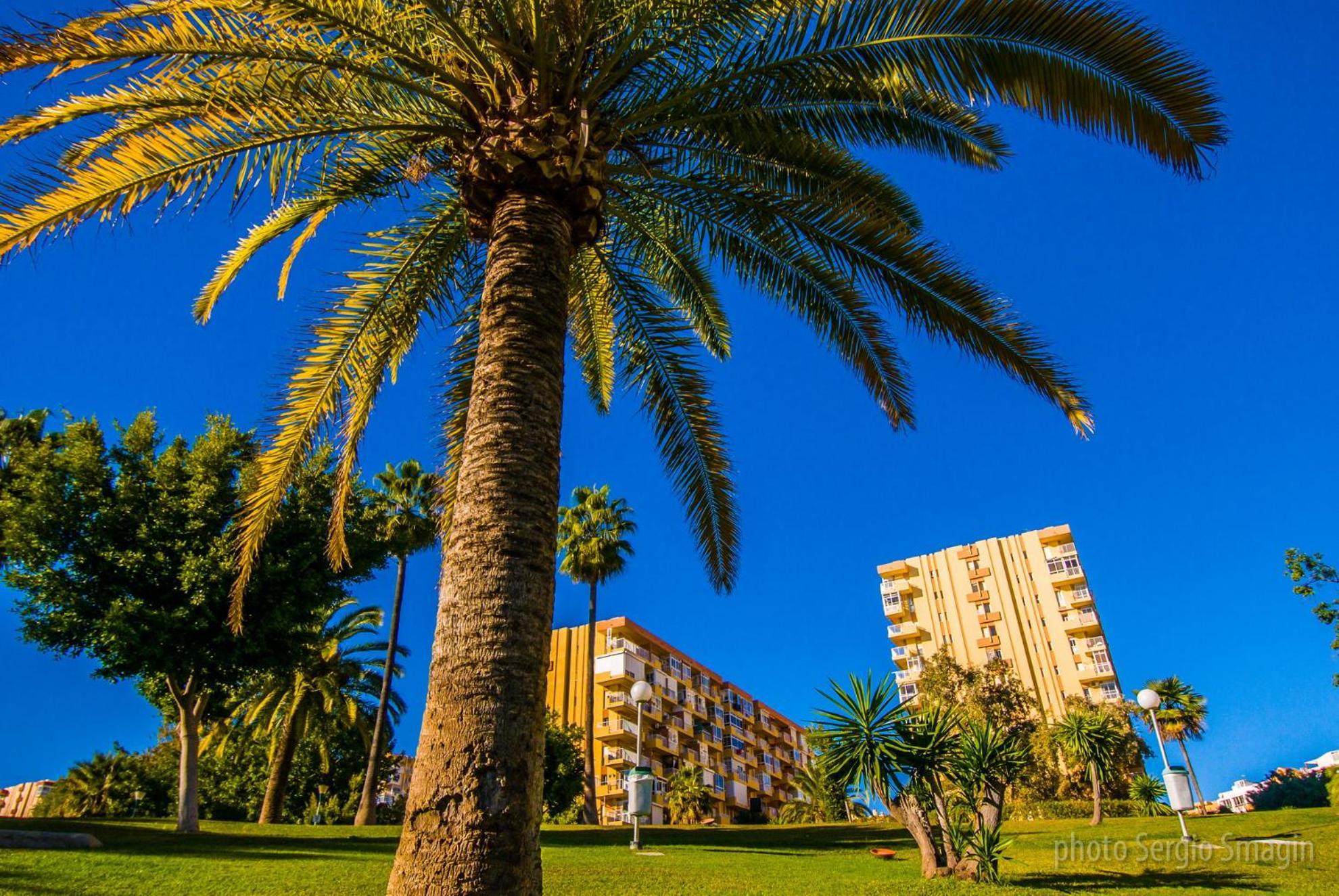 102 Estudio En Jupiter Apartmentos - Piscina Y Playa - Excelente Ubicacion เบนัลมาเดนา ภายนอก รูปภาพ