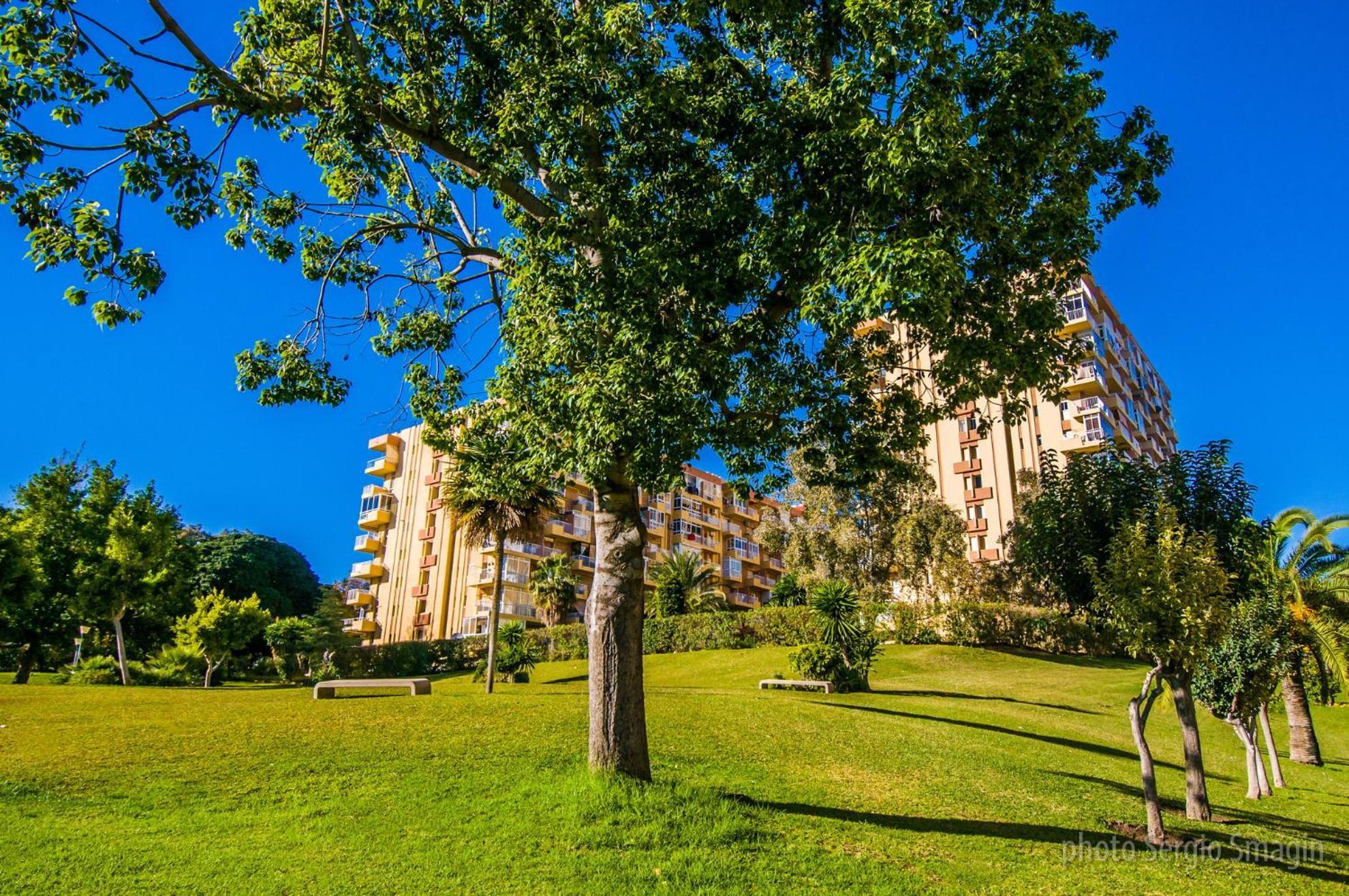102 Estudio En Jupiter Apartmentos - Piscina Y Playa - Excelente Ubicacion เบนัลมาเดนา ภายนอก รูปภาพ