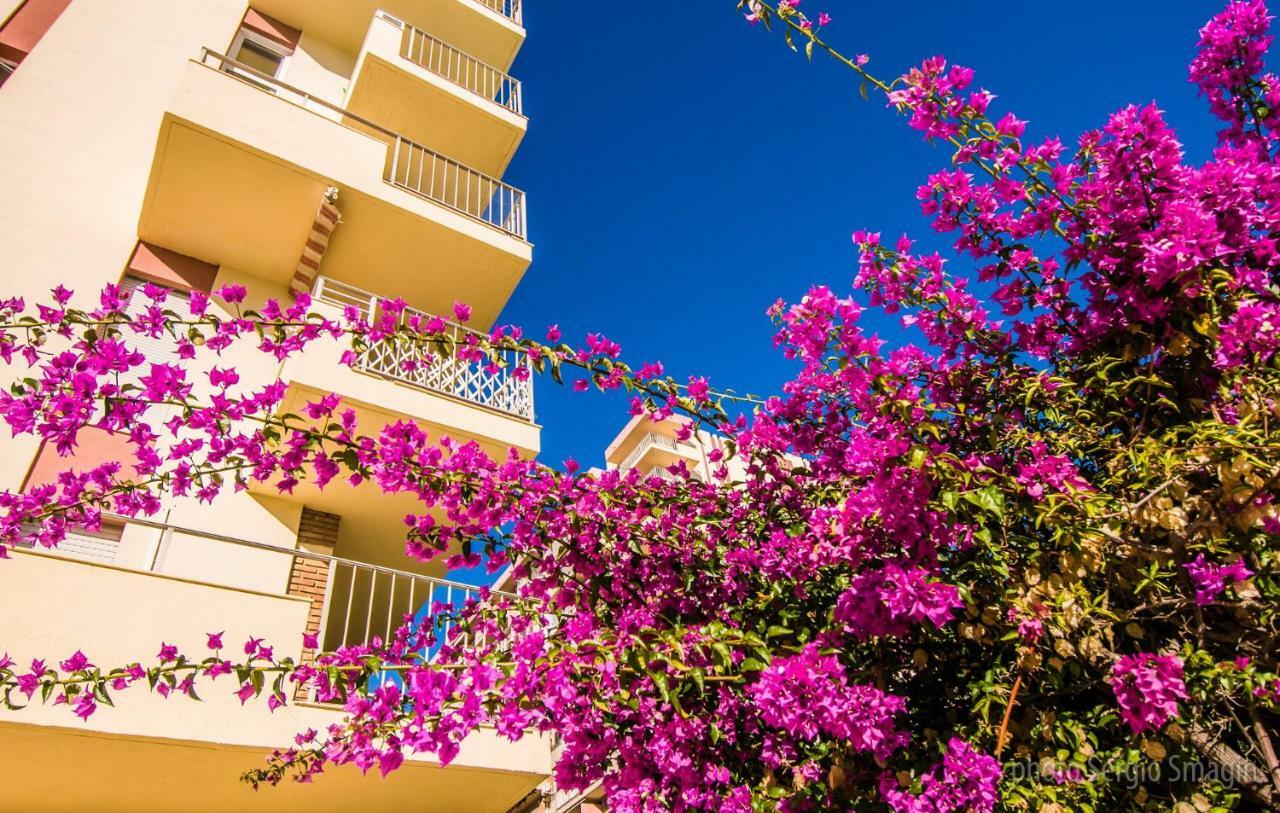 102 Estudio En Jupiter Apartmentos - Piscina Y Playa - Excelente Ubicacion เบนัลมาเดนา ภายนอก รูปภาพ